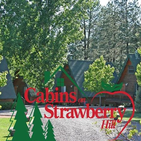 Отель Cabins On Strawberry Hill Pine Экстерьер фото