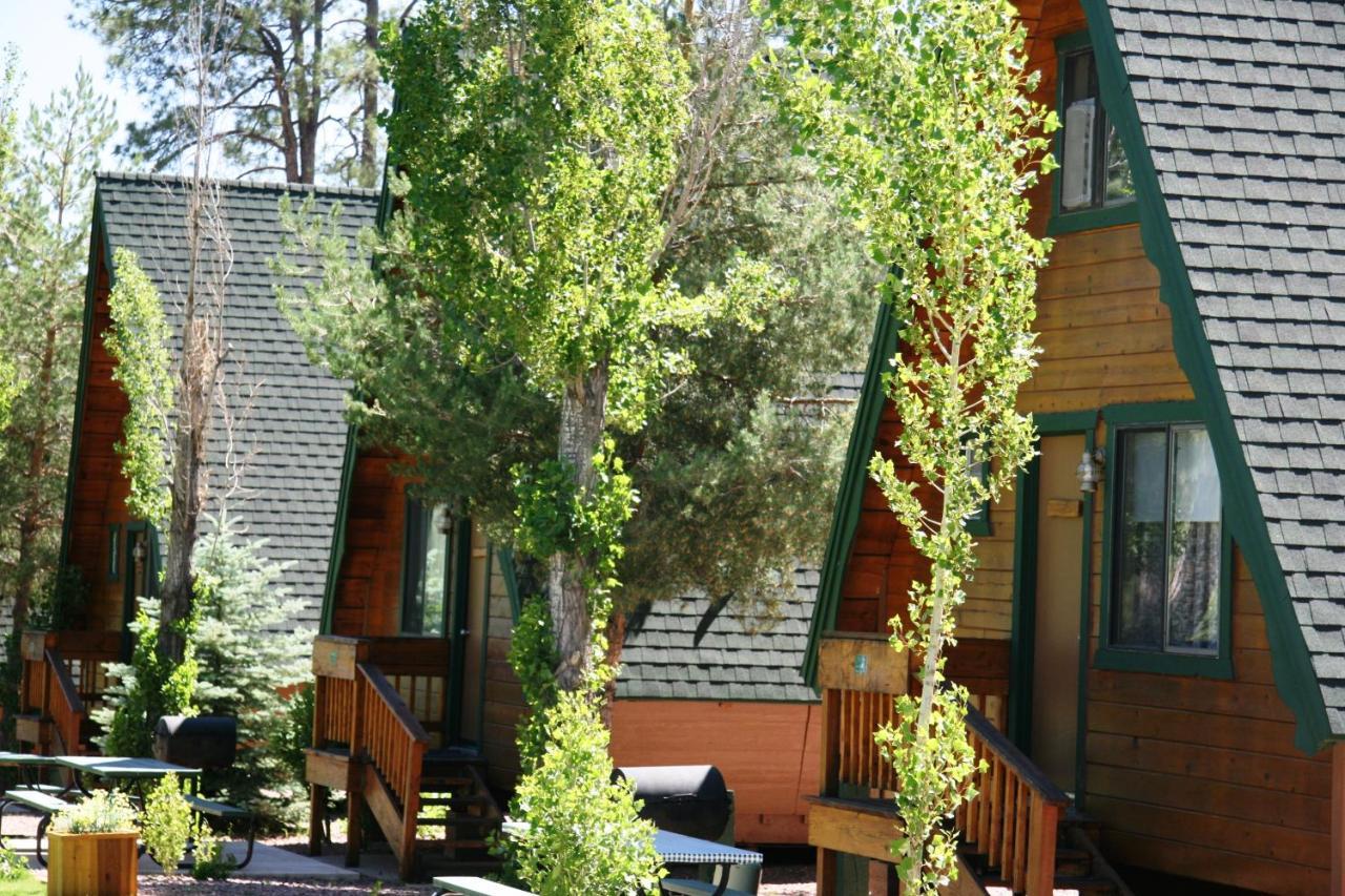 Отель Cabins On Strawberry Hill Pine Экстерьер фото